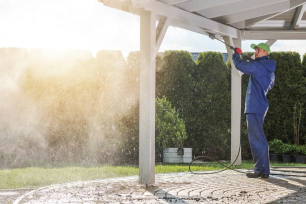 Best Roof Washing  in North Sea, NY